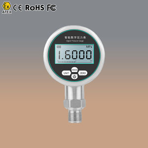 Manómetro Digital de Presión de Aire, Manómetro Digital de Presión 3/4, Manómetro Digital de Presión <span class=keywords><strong>1000</strong></span> <span class=keywords><strong>Psi</strong></span> - Product Image 1
