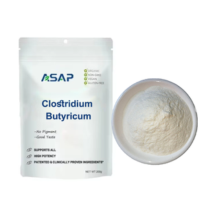 Supplément de soins de santé Poudre de probiotiques de qualité alimentaire Clostridium Butyricum - Product Image 2