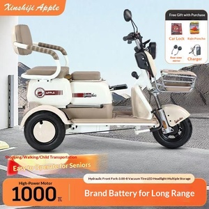 Tricycle électrique pour adultes, personnes âgées, enfants, femmes, <span class=keywords><strong>petite</strong></span> <span class=keywords><strong>taille</strong></span>, fonction ouverture/fermeture, vitesse 30 km/h, charge utile 100-200 kg, autonomie 50-70 km - Product Image 2