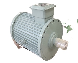 Générateur magnétique alternatif PMG pour énergie éolienne, hydroélectrique et solaire hybride - Product Image 4
