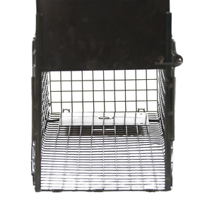 Porte simple de <span class=keywords><strong>cage</strong></span> de piège de capture de souris de <span class=keywords><strong>rat</strong></span> humain de fil métallique - Product Image 4