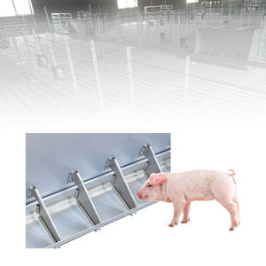 Nuevo y Popular Sistema Automático de Alimentación Doble para Cerdos, Personalizado, de Acero Inoxidable, Marca Hengyin, 50 kg, 1 Año de Garantía, Henan, China - Product Image 4