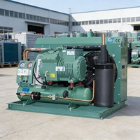 Unité de condensation à compresseur à piston semi-hermétique refroidi par air de 5 à 50 CV pour chambres froides de réfrigération, moteur, pompe et engrenage