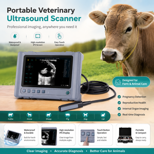 Ecógrafo Inalámbrico Portátil para Uso Veterinario, Sistema de Ultrasonido Completamente Digital y Resistente - Product Image 1