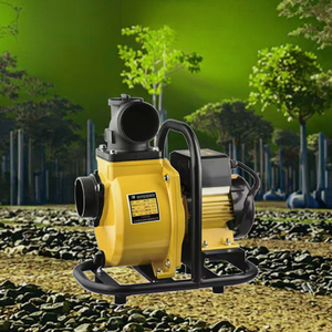 Bomba Solar de Superficie de Gran Caudal de 3 Pulgadas, 48V-72V 900W MPPT, de Alta Presión para Riego Agrícola, Autocebante Centrífuga LX 48v DC B - Product Image 5