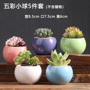 Maceta Artesanal 3D con Forma de Flor de Casa de Dibujos Animados JM, con Múltiples Estilos para Plantas Verdes - Product Image 2