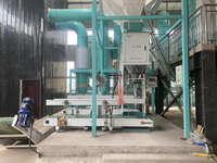 Machine d'ensachage manuelle Ewinall DCS-100FA1 50-100kg avec re-inspection dynamique et couture pour l'emballage papier des usines alimentaires et agroalimentaires