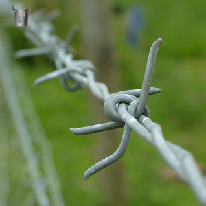 Steel Bull Factory Venta directa Hoja protectora Maquinilla <span class=keywords><strong>de</strong></span> afeitar <span class=keywords><strong>de</strong></span> <span class=keywords><strong>alambre</strong></span> <span class=keywords><strong>de</strong></span> hierro para cercas Acabado galvanizado para fines <span class=keywords><strong>de</strong></span> seguridad <span class=keywords><strong>Alambre</strong></span> <span class=keywords><strong>de</strong></span> púas - Product Image 1