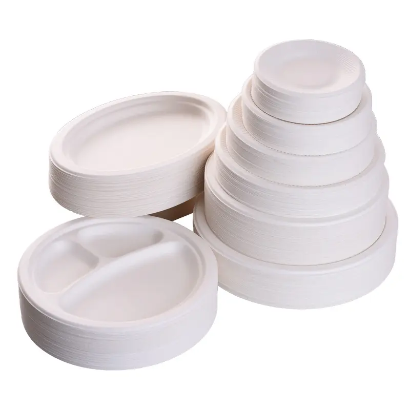 Wholesale 100% Biodegradable Disposable Bagasse Dinner Dishes Birthday Paper Plates Tableware