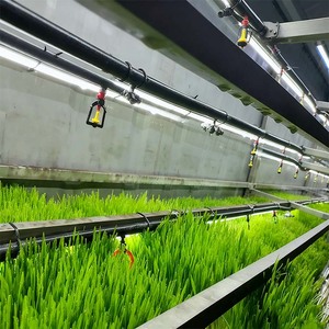 Sistema de Cultivo Modular en Contenedor Marítimo, Exterior Blanco y Verde, Unidad de Cultivo Hidropónico Comercial - Product Image 4