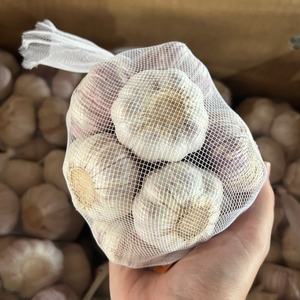 Ajo Fresco Directo de Granja a Bajo Precio, Opción Orgánica y Nutritiva, Ajo Blanco Puro de Nuestra Propia Fábrica - Product Image 4