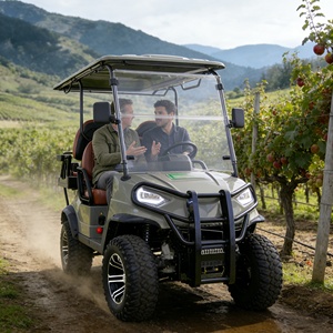 Véhicule utilitaire électrique de Type UTV, buggy <span class=keywords><strong>tout</strong></span>-<span class=keywords><strong>terrain</strong></span>, pour agricole et le jardin - Product Image 6