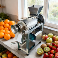 Presse-agrumes et mixeur de fruits et légumes motorisé en acier inoxydable 220V haute productivité pour bureau
