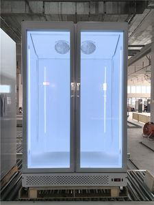 Réfrigérateur commercial vertical à porte vitrée pour boissons, bières fraîches et présentoir floral - Product Image 6