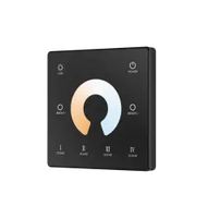Skydance NOUVEAU Écran tactile en verre mural RF ultra-mince Télécommande alimentée par batterie pour lumières LED