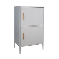 Armoire de rangement de style moderne facile à assembler Salon Acier 2 portes Table de chevet Table Ensemble de meubles de maison