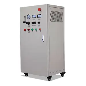 Industrieller Ozon-Generator 10G 20G 30G für Schwimmbad-Abwasserbehandlung