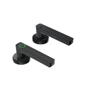 2025 thời trang mới sinh trắc học cuộc sống thông minh kiểm soát khóa cửa với wifi nhôm kỹ thuật số khóa cửa làm việc với xử lý Keyless - Product Image 3