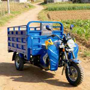 Triciclo <span class=keywords><strong>Motorizado</strong></span> <span class=keywords><strong>de</strong></span> Gasolina <span class=keywords><strong>de</strong></span> 250cc y 3 Ruedas para Uso Agrícola y <span class=keywords><strong>de</strong></span> Carga, Capacidad <span class=keywords><strong>de</strong></span> Carga Pesada <span class=keywords><strong>de</strong></span> 1000 kg - Product Image 5