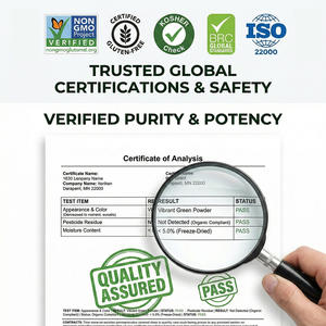 Bubuk Kale Ekstrak Herbal Sulforaphane Prekursor Larut Air Serat Tinggi Antioksidan <span class=keywords><strong>Vitamin</strong></span> <span class=keywords><strong>K</strong></span> Makanan Kesehatan Kelas Makanan Shandong - Product Image 2