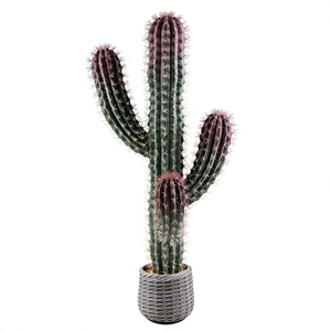 Décoration de <span class=keywords><strong>cactus</strong></span> artificiel en pot, plante succulente artificielle, bonsaï pour le bureau, la <span class=keywords><strong>maison</strong></span>, la décoration de fête - Product Image 4