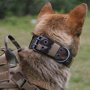 Accessoires pour animaux de compagnie avec logo personnalisé OEM-Colliers tactiques pour la chasse - Product Image 2