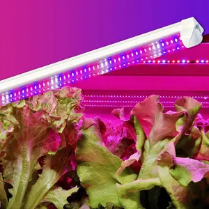 LED spektrum penuh kustom tabung cahaya tumbuh UV IR 660nm 3000K 6000K untuk pertanian vertikal & rumah kaca dioptimalkan untuk pertumbuhan tanaman
