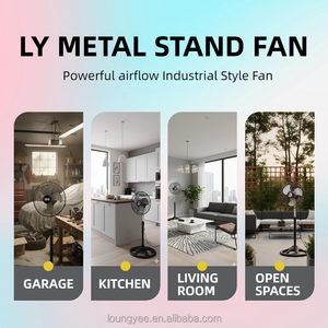 2026 Hot Style Metal Cooling <b>Fan</b> Aluminium Motor Housing Class Energy Efficiency Pedestal <b>Stand</b> for Household Ly-1001 Pedestal - Product Image 4