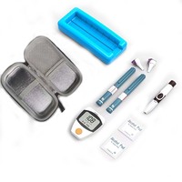 Étui de voyage refroidisseur d'insuline pour diabétique organiser sac de refroidissement isolé par médicaments sac isotherme diabétique étui de voyage à insuline