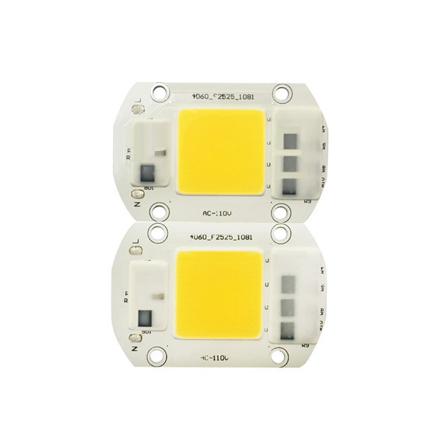 20W 30W 50W AC 220V Power Supply COB Integrated Lamp Chip Smart IC Driver Light Source DIY LED Floodlight Spotlight Bulb