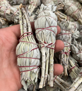 Produits les plus vendus, lot de <span class=keywords><strong>sauge</strong></span> blanche en vrac pour l'encens, <span class=keywords><strong>sauge</strong></span> pour purification - Product Image 5