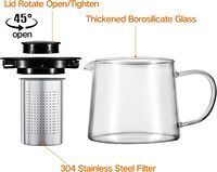 Stocks de gros Pichet à eau en verre Bouilloire Théière en verre résistant à la chaleur avec infuseur amovible