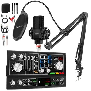 Hayner-Seek Music sound card Audio Mixer with Condenser Microphone voice changer Live Streaming kit