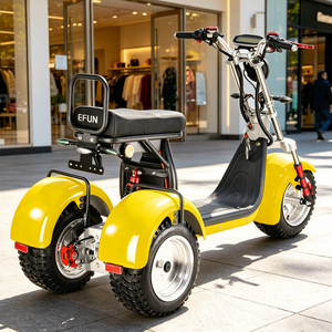 Monopattino Elettrico ad Alta Velocità da 1000 Watt per Adulti, Prezzo Basso, Moto da Turismo a Due Ruote 48V-72V con Batteria da 20Ah - Product Image 5