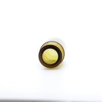 Approvisionnement en usine Flacons d'injection pharmaceutique ambre clair personnalisés de 5ml Bouteilles en verre revêtues de gel Emballage médical