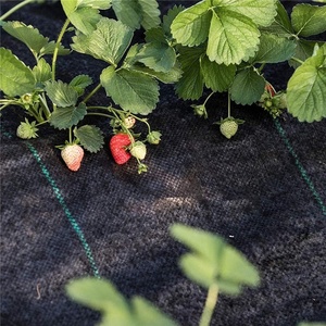 Barrière anti-mauvaises herbes pour jardin, tissu paysager pour le contrôle des mauvaises herbes dans les parterres de fleurs, paillis, bordures, piquets de jardin - Product Image 4