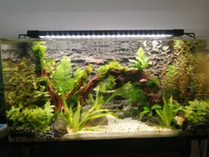 Seabillion <span class=keywords><strong>Aquarium</strong></span> Led Verlichting Beugel Lamp <span class=keywords><strong>Aquarium</strong></span> Accessoires Led <span class=keywords><strong>Grow</strong></span> Light Full Spectrum Aluminiumlegering 80 70 Warm Wit - Product Image 6