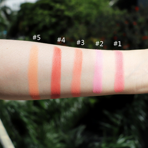 Palette Professionale di Blush Vegano 3D per Uso Quotidiano, Polvere Minerale di Alta Qualità con Pigmenti Ricchi, Logo Personalizzato, Tonalità per Pelle Chiara - Product Image 3