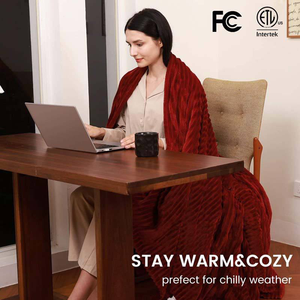 250Gsm Franela Naturaleza 4 Ajuste de calefacción Calentamiento rápido King Size Mantas calentadas de punto eléctricas Técnica doblada - Product Image 2