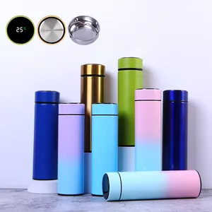 BPA eco-friendly Free doppia parete in acciaio inox Thermos bottiglia d'acqua Smart LED bottiglia d'acqua con Logo personalizzato