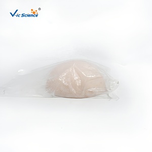 Modèle <span class=keywords><strong>de</strong></span> <span class=keywords><strong>sein</strong></span> féminin en silicone grandeur nature avec base pour la formation des consultants en lactation CE ISO ROHS CNAS - Product Image 6