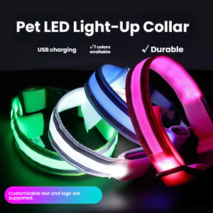 Collier <span class=keywords><strong>LED</strong></span> rechargeable par USB pour chien, lumineux, réfléchissant, anti-perte, pour la marche nocturne, accessoires pour animaux de compagnie pour grands chiens - Product Image 2