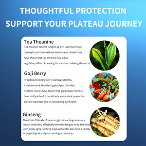 Damingtang Energy Tea Powder Premium Tea Extract Cruza fácilmente la meseta para evitar molestias - Product Image 6