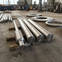 Tige de vanne nucléaire forgée Z2CN18-10 RCC-M M3301 M3306 en acier inoxydable 304LN pour vannes de centrales nucléaires