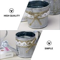 Ember logam kustom hadiah perak, pot taman dalam ruangan dekorasi rumah tanaman lucu Zinc dekoratif dalam ruangan