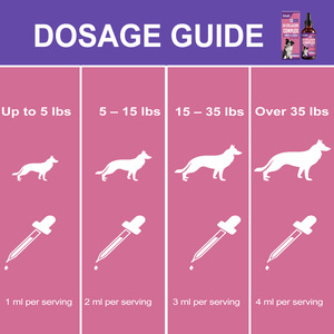 อาหารเสริมคอลลาเจนสำหรับสุนัข 5X ขนาด 60 มล. ช่วยเพิ่มความยืดหยุ่นของข้อต่อ เสริมสร้างความแข็งแรงของกระดูก บำรุงผิวหนังและขน ผลิตโดยผู้ผลิตโดยตรง ขายดี รับผลิตแบบ OEM - Product Image 3