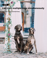 1000M Fernbedienungs-Hundetrainingshalsband IP67 Wasserdicht 100 Stufen Schock Vibration Piepton Mit Taschenlampe Unterstützt 3 Hunde Wiederaufladbar