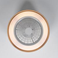 Ventilateur de plafond en gros avec lumière, moderne, LED, télécommande, contrôle par application, intensité réglable, pour la décoration intérieure