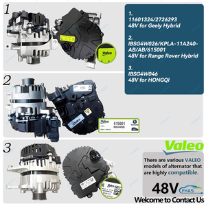 <span class=keywords><strong>Alternador</strong></span> K8d2-11a240-ac 48v OEM Ibsgw023 121011201 LR137956 LR115527 J9C18054 para Land Rover Híbrido 48v - Product Image 5