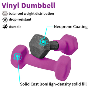 Nhà Máy Bán Buôn Tùy Chỉnh 6-Sided 12-Sided Tròn Hình Dạng Vinyl Tráng Quả Tạ Set Với Rack Cho Phòng Tập Thể Dục Tập Thể Dục Và Nhà Tập Thể Dục - Product Image 2